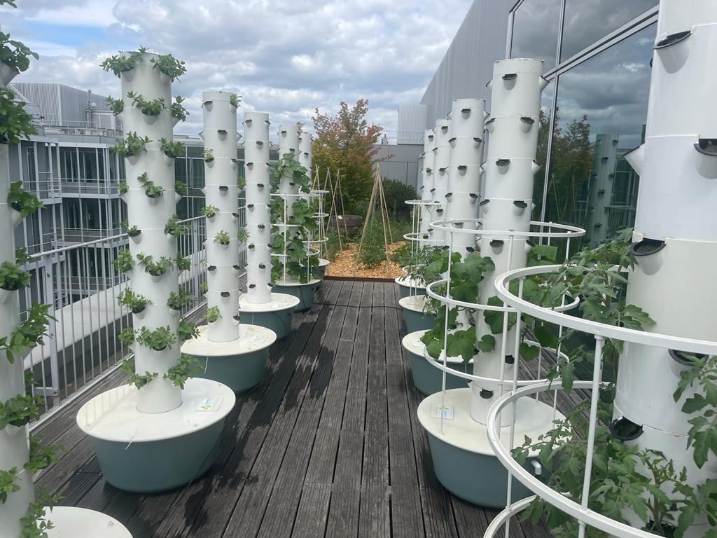 Recrutement – Responsable Production Hydroponique & Culture de Champignons