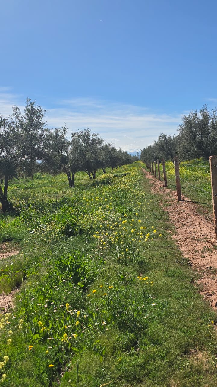 Terrains agricoles nu