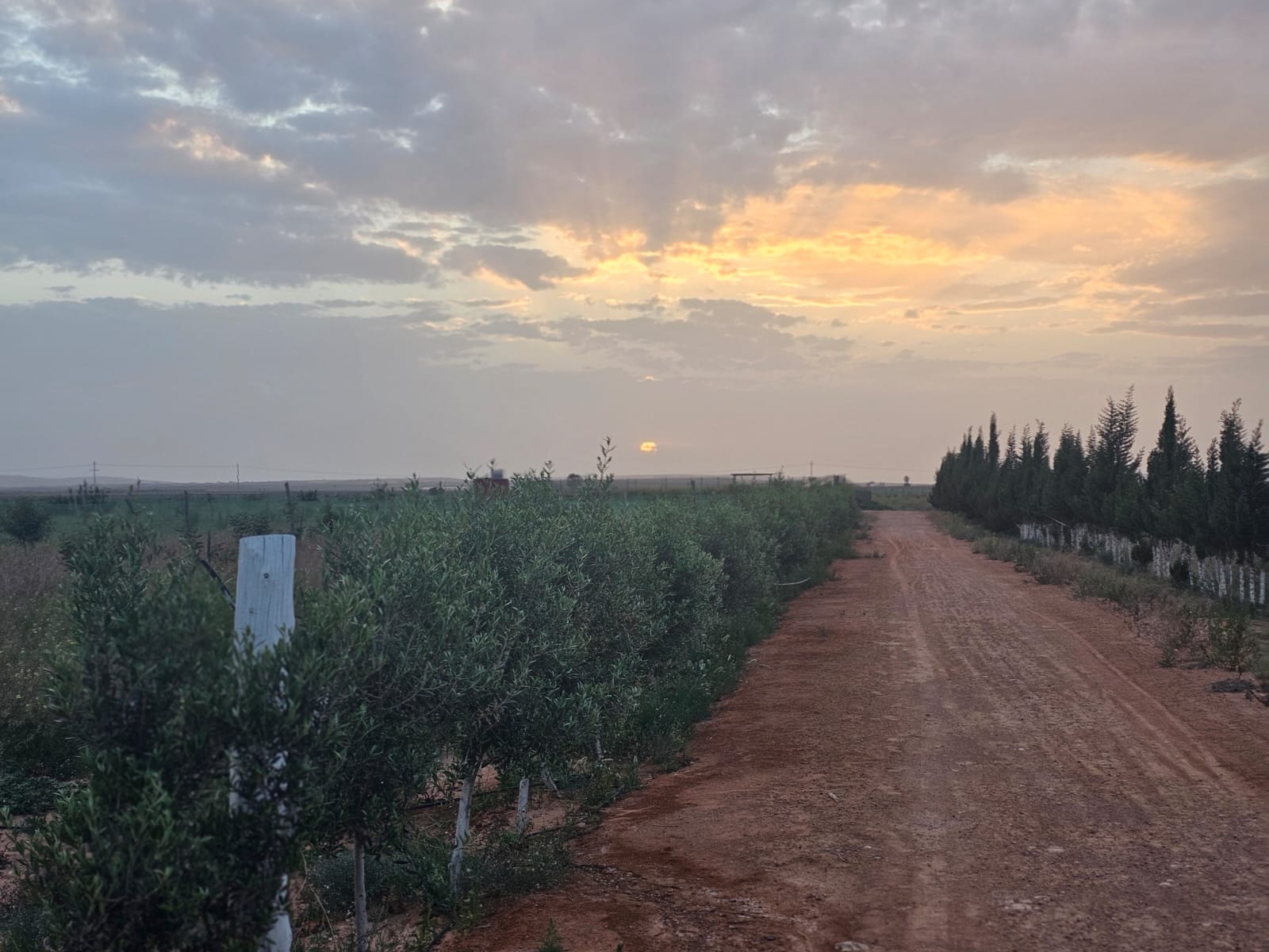 Opportunité d’investissement agricole exceptionnelle dans la région du Souss !